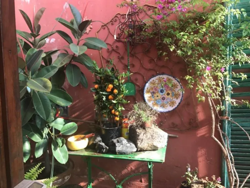 Sulle Tracce Di Sofia Loren Napoli Daire