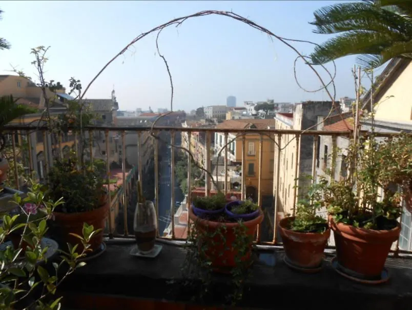 Daire Sulle Tracce Di Sofia Loren Napoli